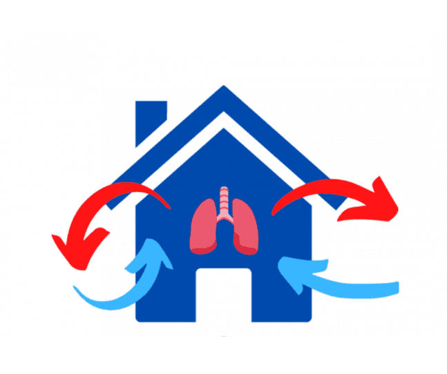 Een Murprotec luchtbehandeling kan je vergelijken met de werking van onze longen. 